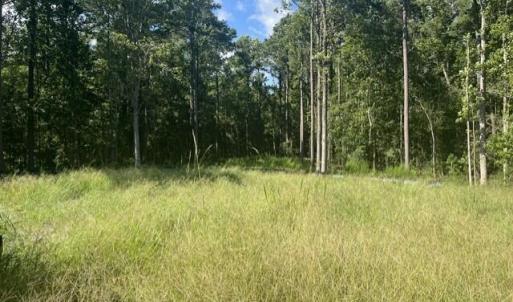 Photo #2 of 306 Joans, Stella, NC 2.4 acres