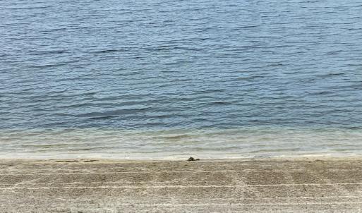 Photo #4 of 121 Schooner Landing, Edenton, NC 0.7 acres