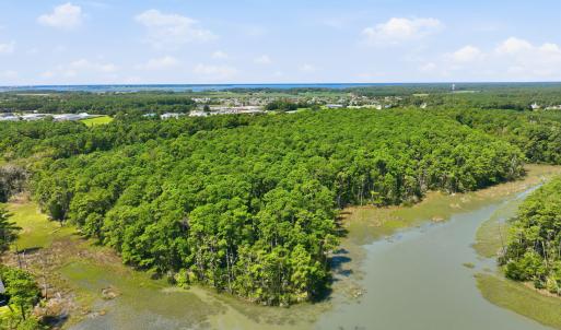 Photo #2 of 1980 Live Oak, Beaufort, NC 41.6 acres