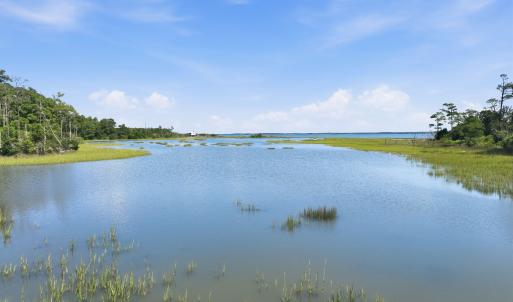 Photo #16 of 1980 Live Oak, Beaufort, NC 41.6 acres