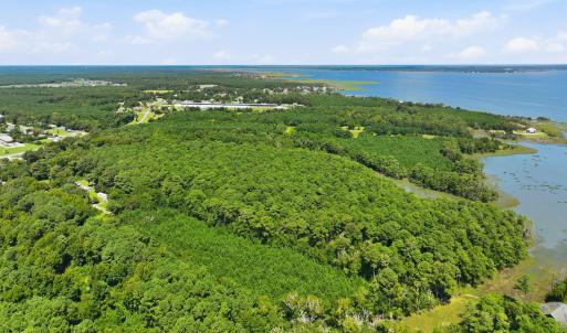 Photo #14 of 1980 Live Oak, Beaufort, NC 41.6 acres
