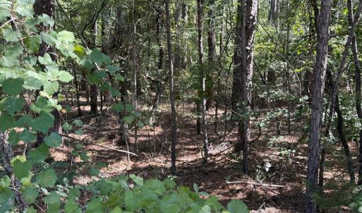 Photo #3 of 3-17 Bay Circle, McCormick, SC 0.3 acres