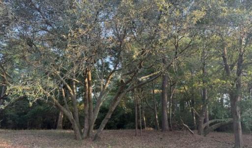 Photo #1 of 301 Lehigh, Wilmington, NC 0.7 acres