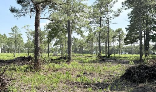Photo #6 of 310 Seaside. (12.25 Acres), Sunset Beach, NC 3.1 acres