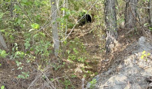 Photo #7 of 310 Seaside. (12.25 Acres), Sunset Beach, NC 3.1 acres