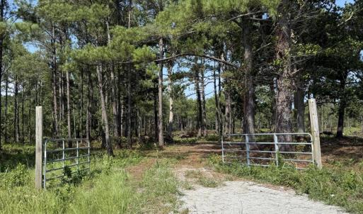 Photo #3 of 310 Seaside. (12.25 Acres), Sunset Beach, NC 3.1 acres