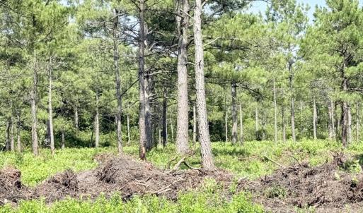 Photo #9 of 310 Seaside. (12.25 Acres), Sunset Beach, NC 3.1 acres