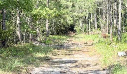 Photo #8 of 310 Seaside. (12.25 Acres), Sunset Beach, NC 3.1 acres