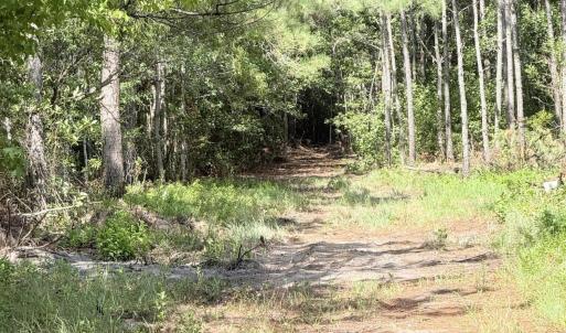 Photo #10 of 310 Seaside. (12.25 Acres), Sunset Beach, NC 3.1 acres