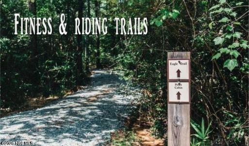 Photo #5 of 501 Grande Pines, Jackson Springs, NC 31.2 acres