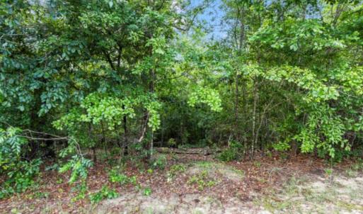 Photo #5 of Lot S-17 Scarborough Pass, Aiken, SC 0.7 acres