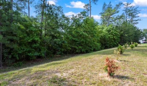 Photo #2 of Lot S-17 Scarborough Pass, Aiken, SC 0.7 acres