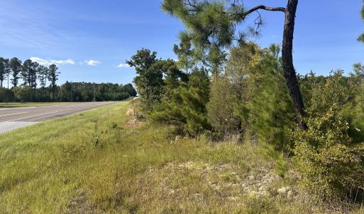 Photo #2 of Hwy 139 And Hwy 28 Old Plum Branch Rd, Plum Branch, SC 42.7 acres