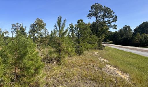 Photo #3 of Hwy 139 And Hwy 28 Old Plum Branch Rd, Plum Branch, SC 42.7 acres