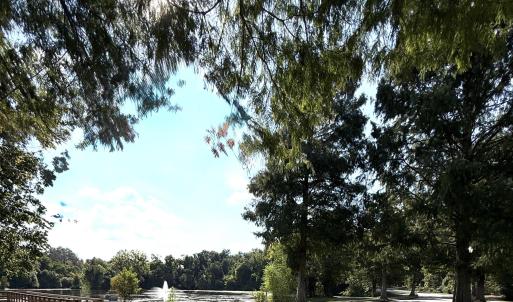 Photo #4 of 191 Rivernorth, North Augusta, SC 0.5 acres
