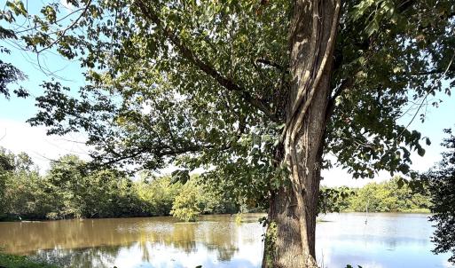Photo #3 of 191 Rivernorth, North Augusta, SC 0.5 acres