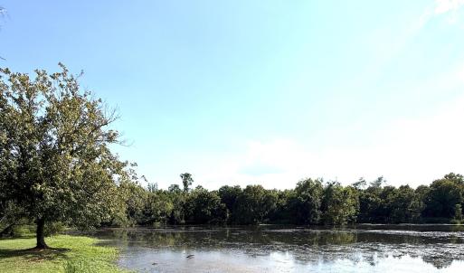 Photo #5 of 191 Rivernorth, North Augusta, SC 0.5 acres