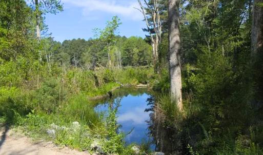 Photo #7 of 00-00 Strother, Aberdeen, NC 26.7 acres