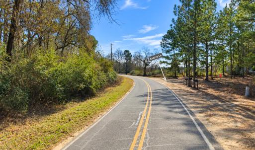 Photo #10 of 00-00 Strother, Aberdeen, NC 26.7 acres