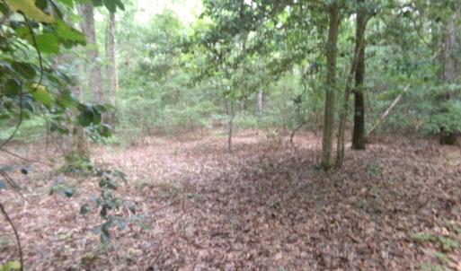 Photo #2 of Lot 37 Plantation, Elizabethtown, NC 0.5 acres