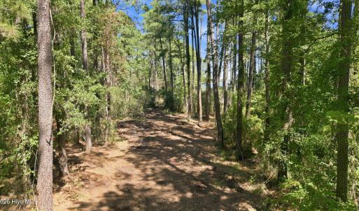 Photo #11 of Bettie, Aurora, NC 2.3 acres