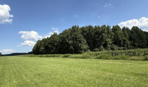 Photo #7 of Bay City, Aurora, NC 34.3 acres