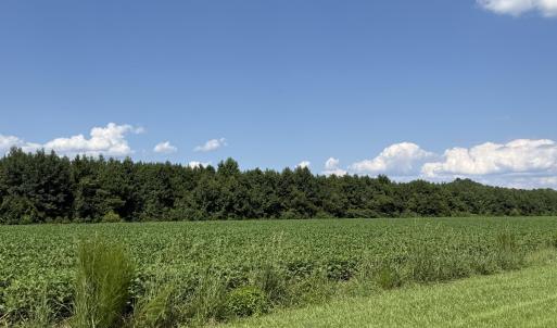 Photo #8 of Bay City, Aurora, NC 34.3 acres