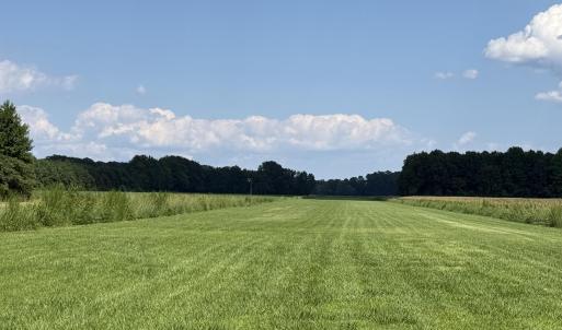 Photo #14 of Bay City, Aurora, NC 34.3 acres