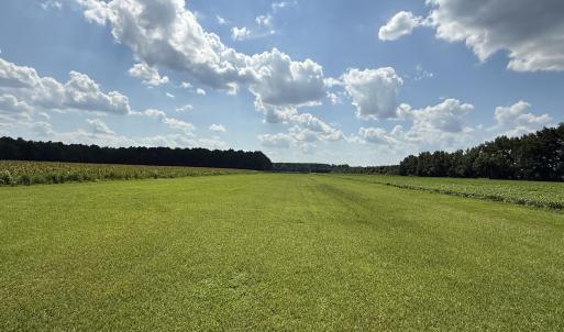 Photo #6 of Bay City, Aurora, NC 34.3 acres