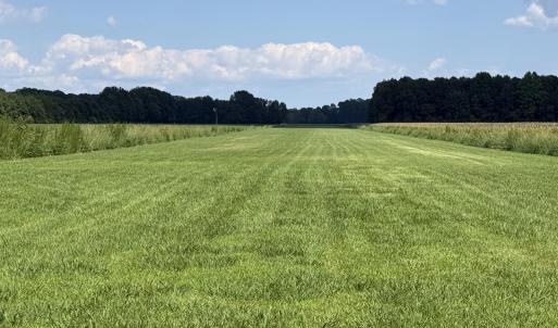 Photo #12 of Bay City, Aurora, NC 34.3 acres