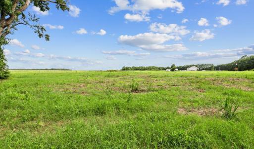 Photo #8 of Lot 2 Waller, Mount Olive, NC 3.5 acres