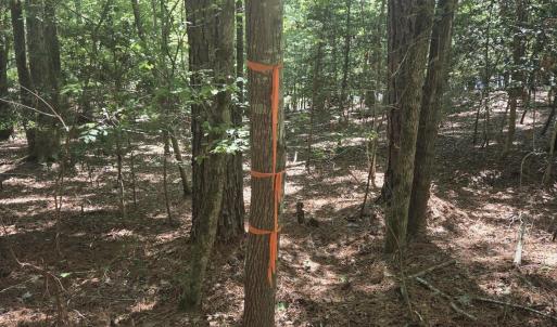 Photo #7 of Lot 45b Appaloosa Lake, Carthage, NC 0.7 acres