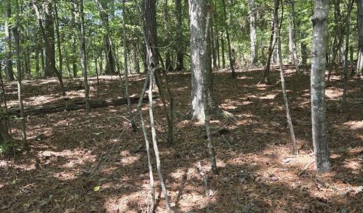 Photo #3 of Lot 45b Appaloosa Lake, Carthage, NC 0.7 acres