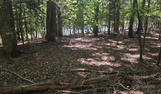 Photo #4 of Lot 45b Appaloosa Lake, Carthage, NC 0.7 acres