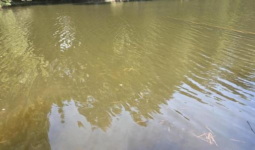 Photo #2 of Lot 45b Appaloosa Lake, Carthage, NC 0.7 acres