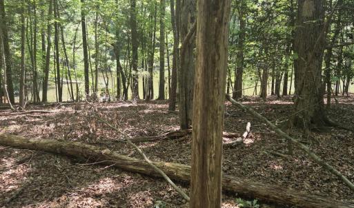 Photo #5 of Lot 45b Appaloosa Lake, Carthage, NC 0.7 acres