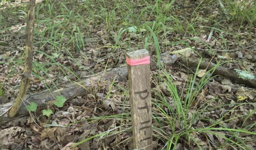Photo #6 of Lot 45b Appaloosa Lake, Carthage, NC 0.7 acres