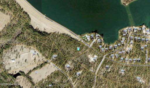Aerial Map 324 Longleaf Dr