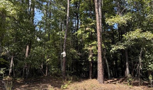 Photo #4 of 1d Gelding Gap, Carthage, NC 1.2 acres