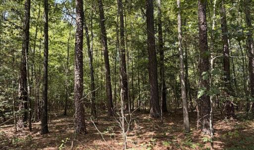 Photo #1 of 1d Gelding Gap, Carthage, NC 1.2 acres