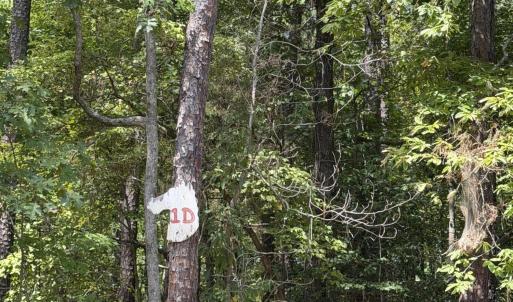 Photo #2 of 1d Gelding Gap, Carthage, NC 1.2 acres