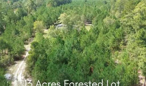 Photo #2 of 16369 Palmer, Marston, NC 13.0 acres