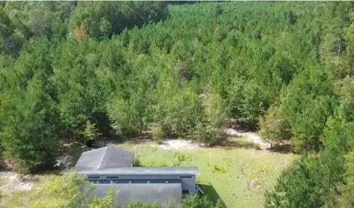 Photo #3 of 16369 Palmer, Marston, NC 13.0 acres