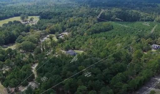 Photo #1 of 16369 Palmer, Marston, NC 13.0 acres