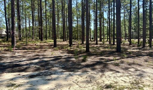 Photo #2 of 10 Cumberland, Pinehurst, NC 1.0 acres