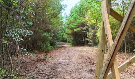 Photo #16 of 5 Bull Tail, Wallace, NC 20.0 acres