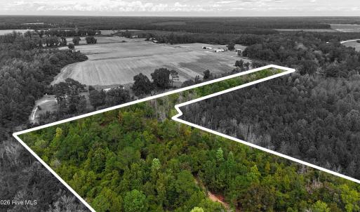 Photo #3 of 5 Bull Tail, Wallace, NC 20.0 acres