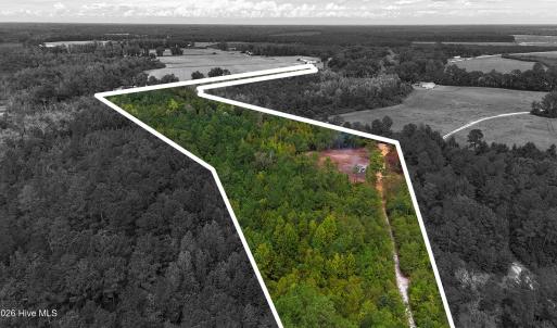 Photo #5 of 5 Bull Tail, Wallace, NC 20.0 acres