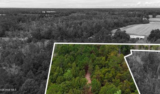 Photo #7 of 5 Bull Tail, Wallace, NC 20.0 acres