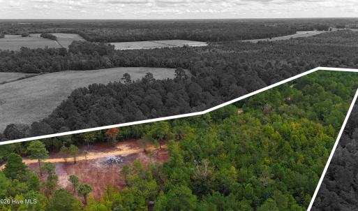 Photo #4 of 5 Bull Tail, Wallace, NC 20.0 acres